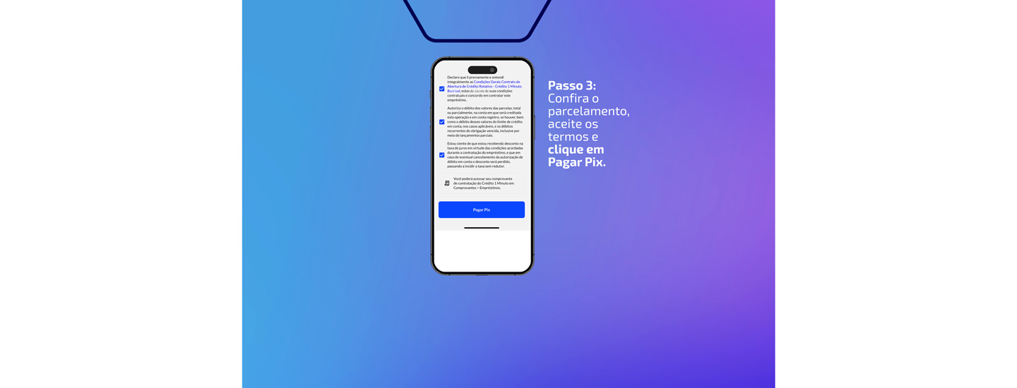 3 . Confira o parcelamento, aceite os termos e clique em Pagar Pix